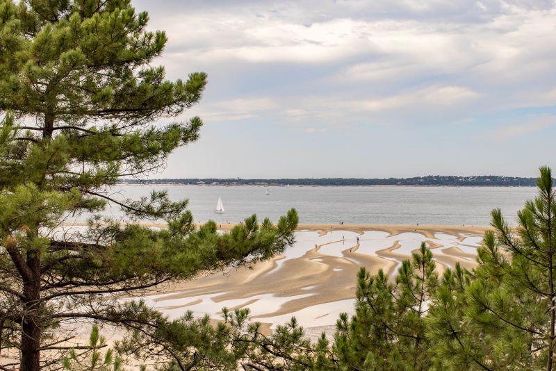 新品 Plage PP (Pake Plage) Palm Coast Pro IslandZone Polo