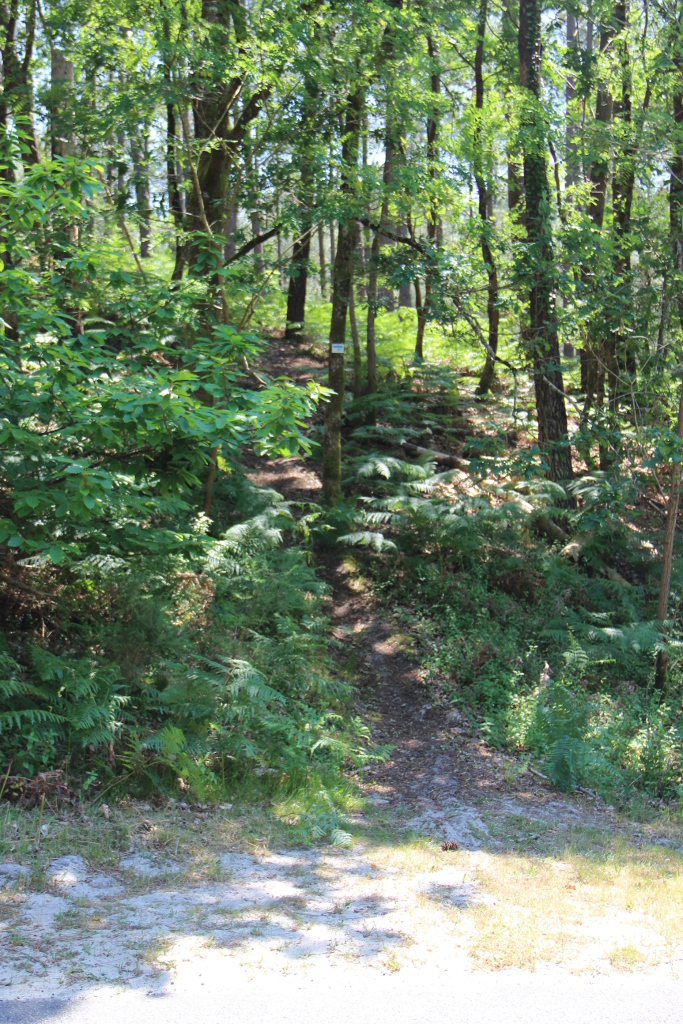 Petit sentier escarpé-V2