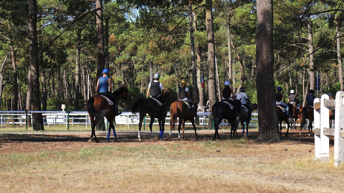 Visite privilège à l’hippodrome un jour de courses