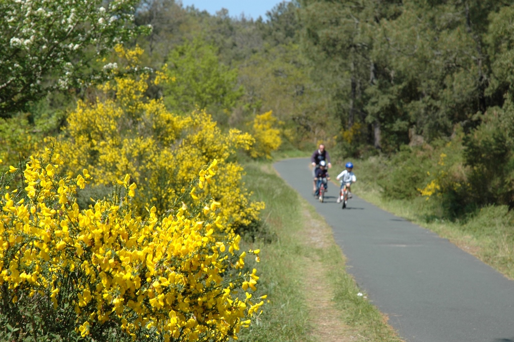 Piste cyclable1©Laplace