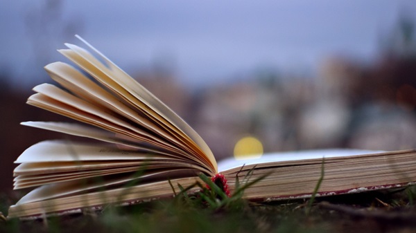 Le Printemps des Poètes