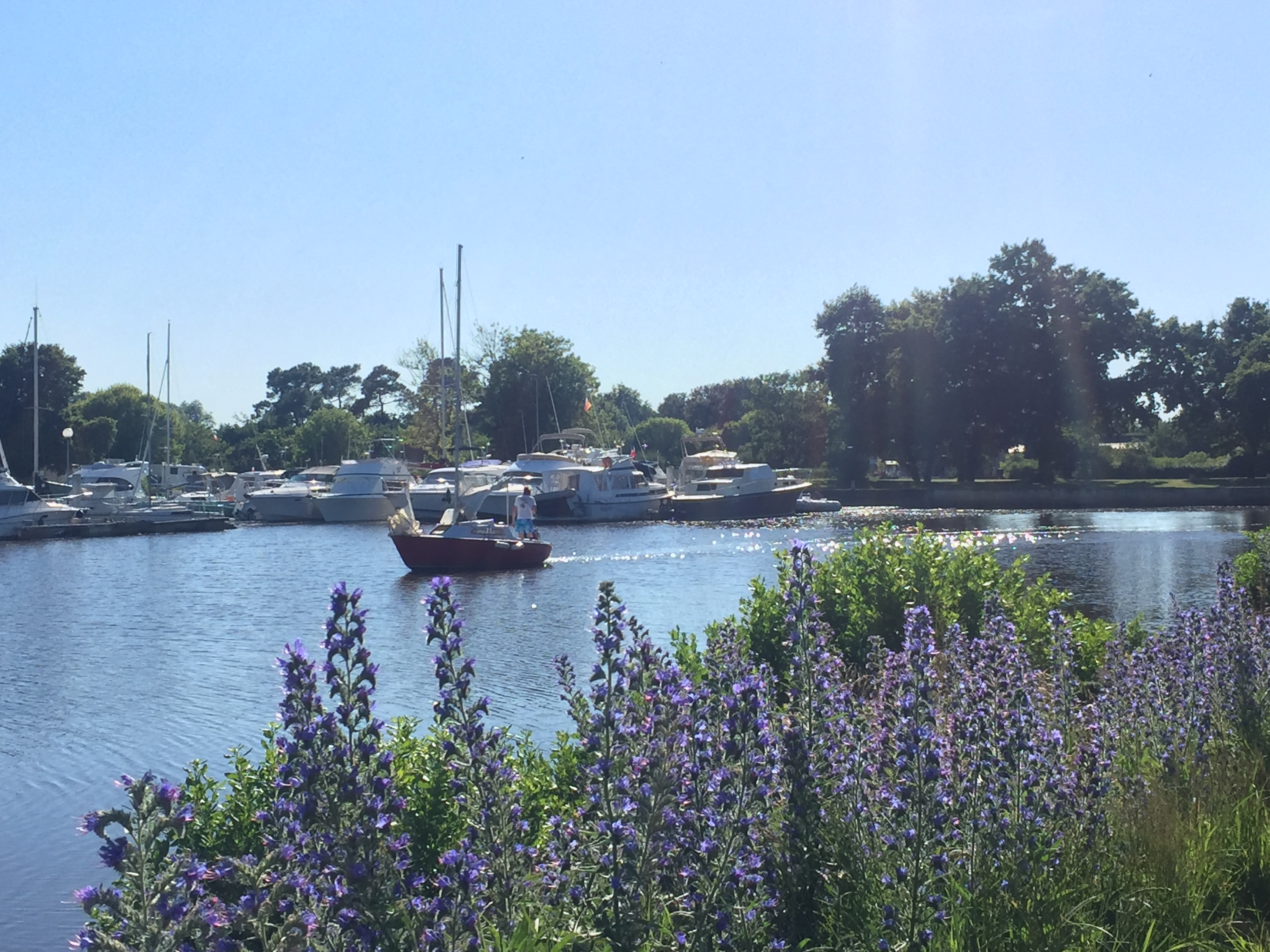 Port du Teich - E Braneyre (7)
