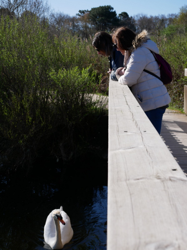Reserve Ornithologique (1) redi