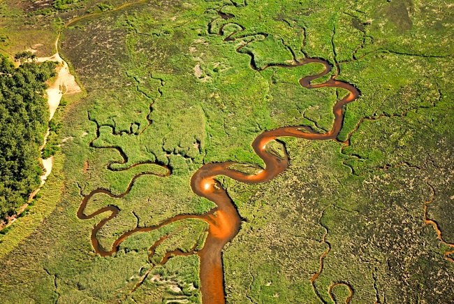 La réserve naturelle nationale des Prés Salés d'Arès-Lège