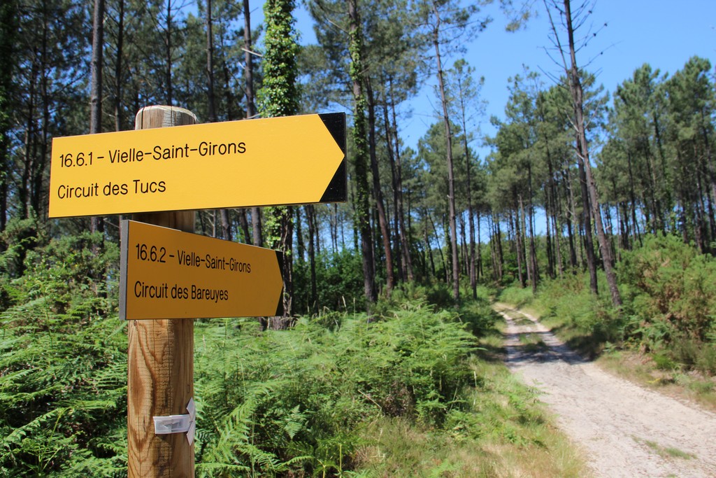 Retour vers la côte