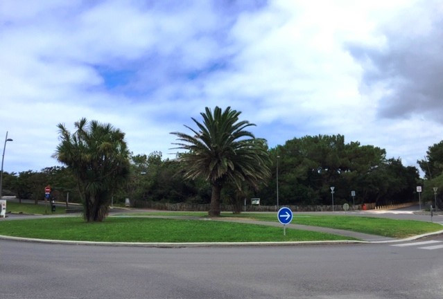 Rond point de Labenne