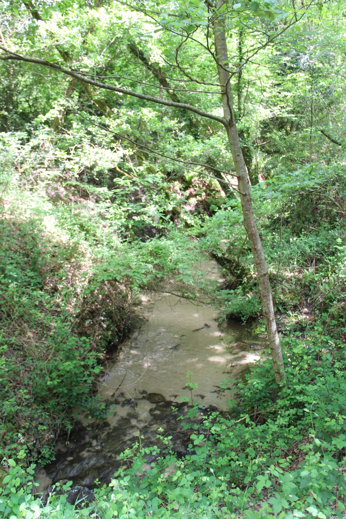 Ruisseau de Lacay-V2