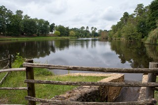 Saint Foy - Etang - Nature