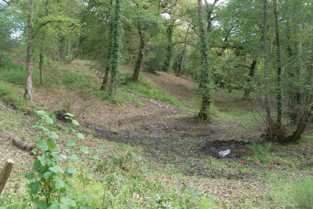 Sentier de la Salamandre LDPNRLG