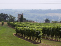 Sentier de randonnée Port Sainte-Foy
