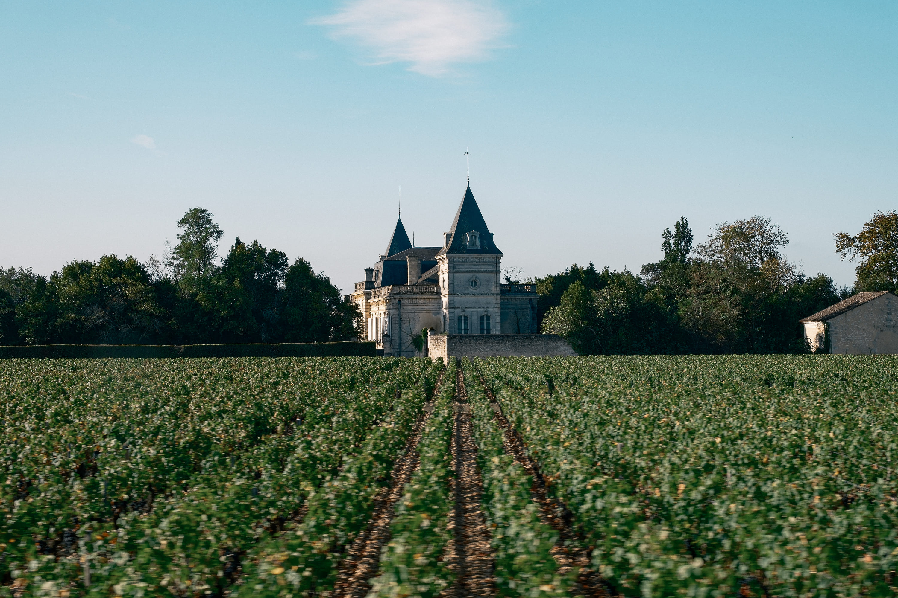 Château Tronquoy