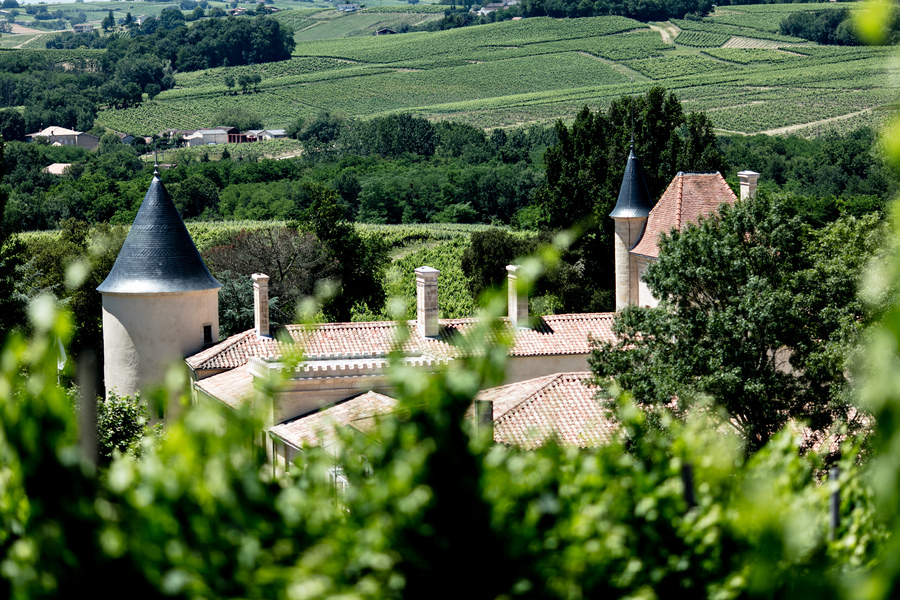 Château Toulouse-Lautrec - SAINT-ANDRÉ-DU-BOIS - La Gironde du Sud