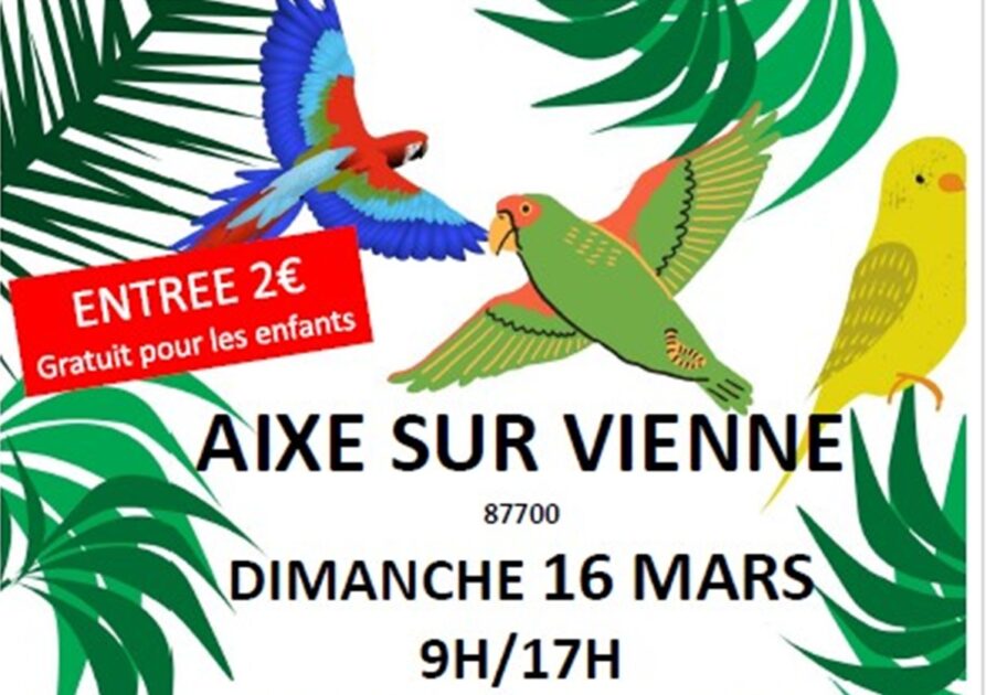 Visuel_Bourse-aux-oiseaux