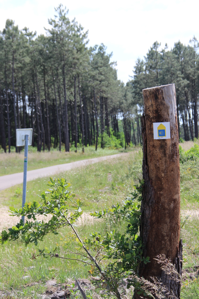 Voie Jacquaire de Tours-V2