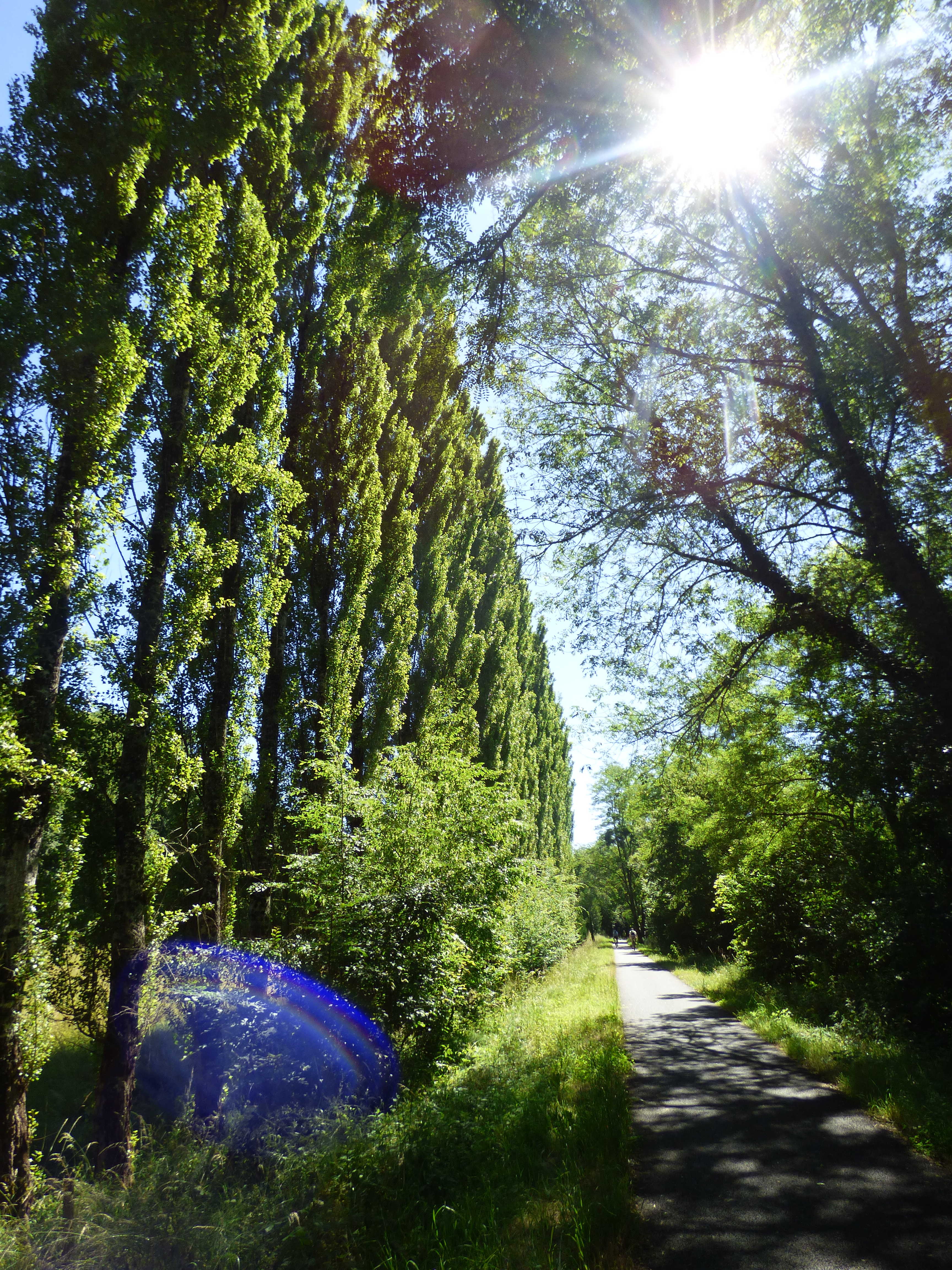 Voie verte Lapébie