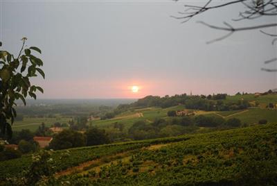 Vue du vignoble Ch. Mémoires