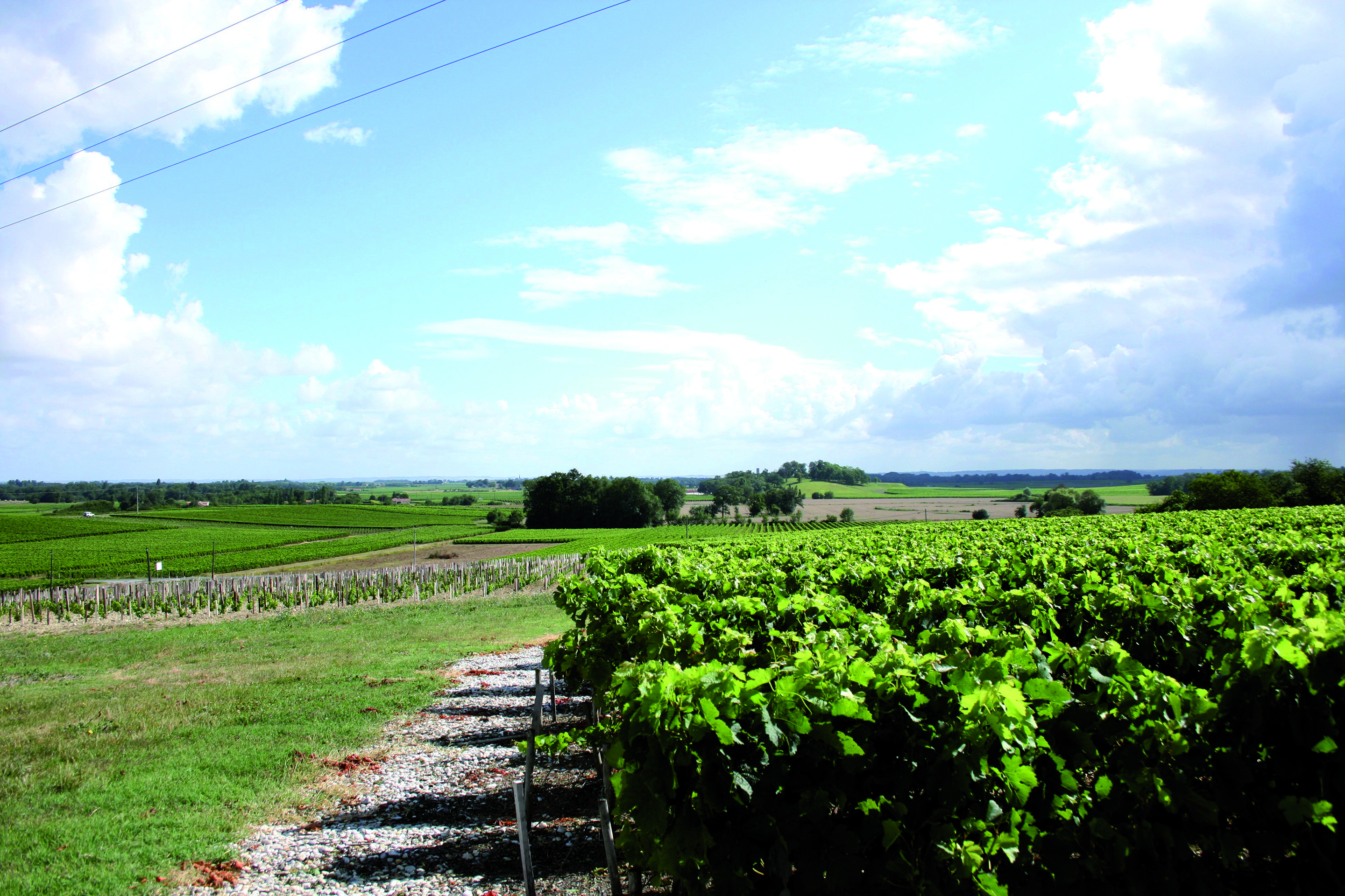 La Butte de Blaignan