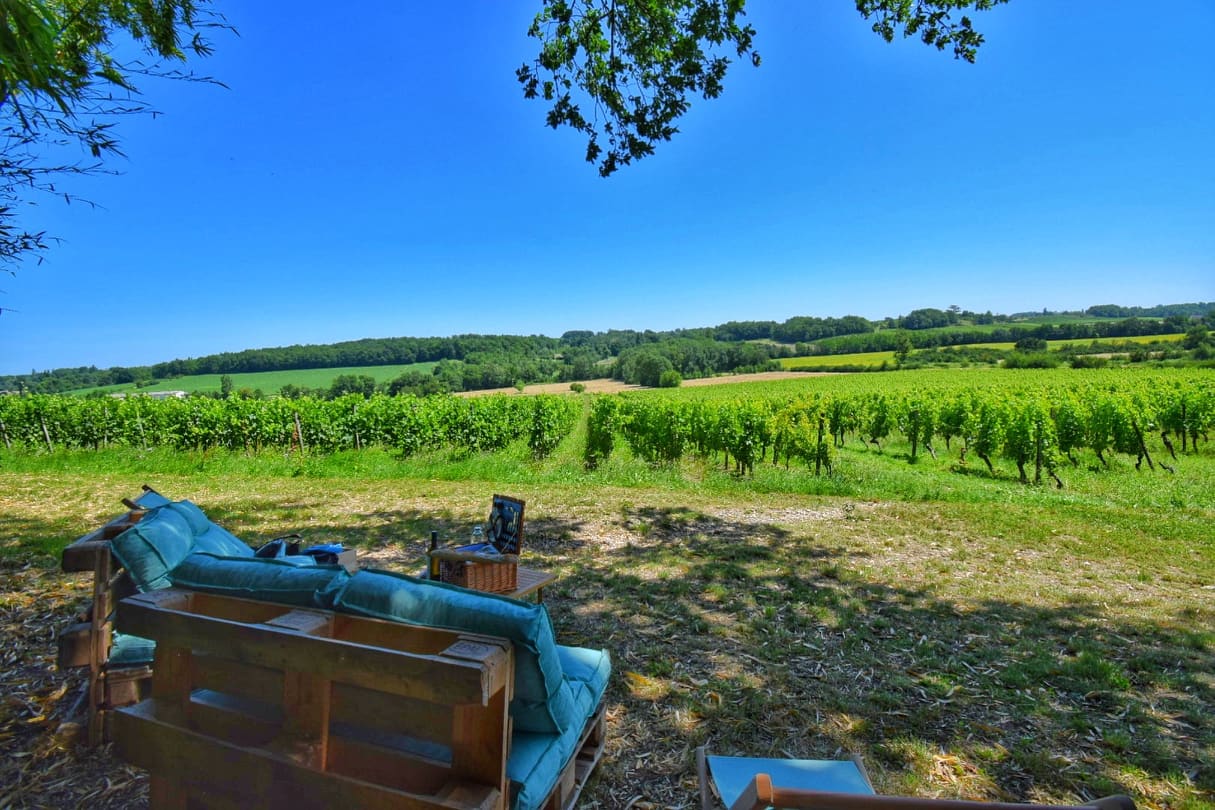 Vue sur les vignes