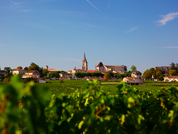 Atelier Verticale de millésimes sur 3 vins