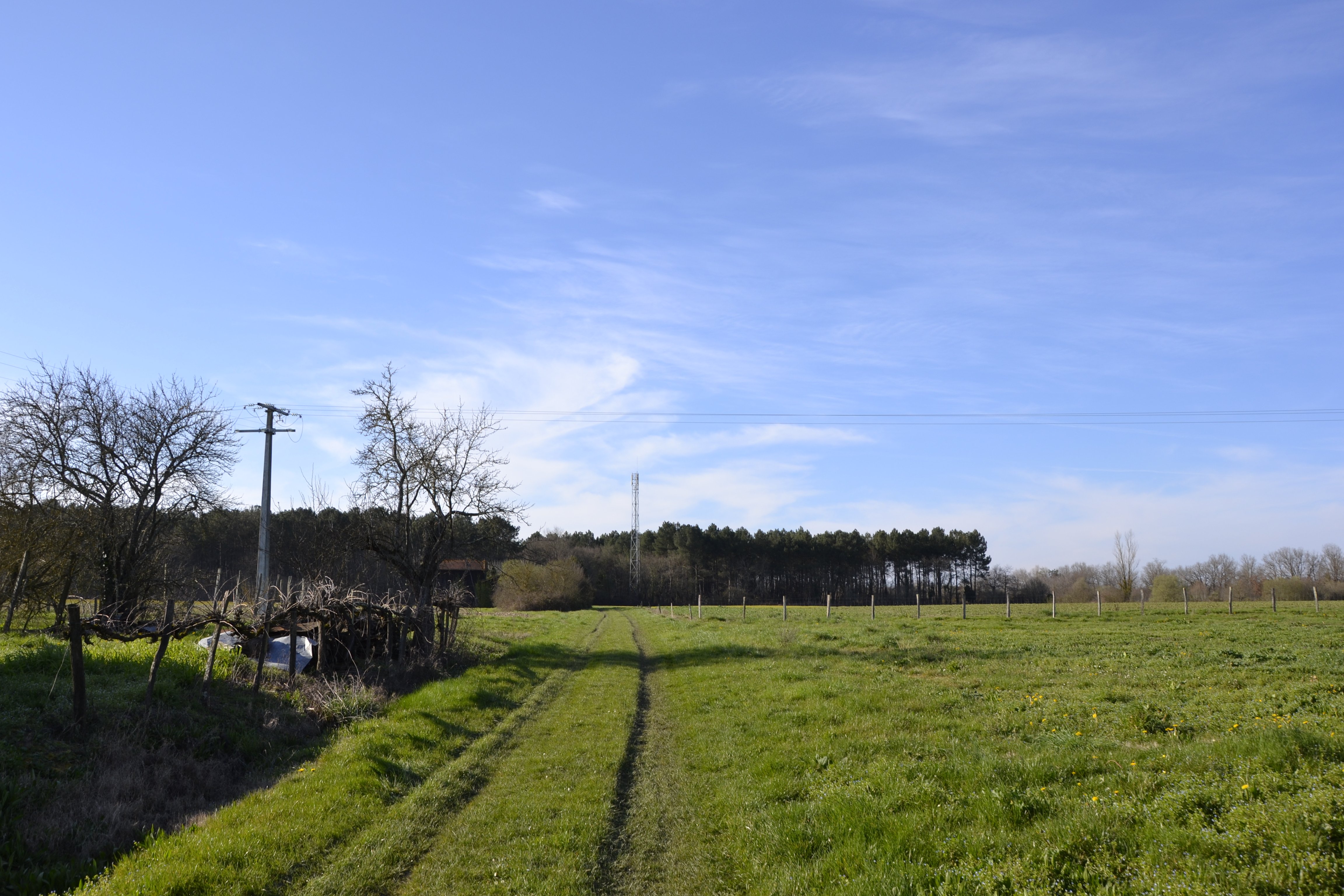 Campagne