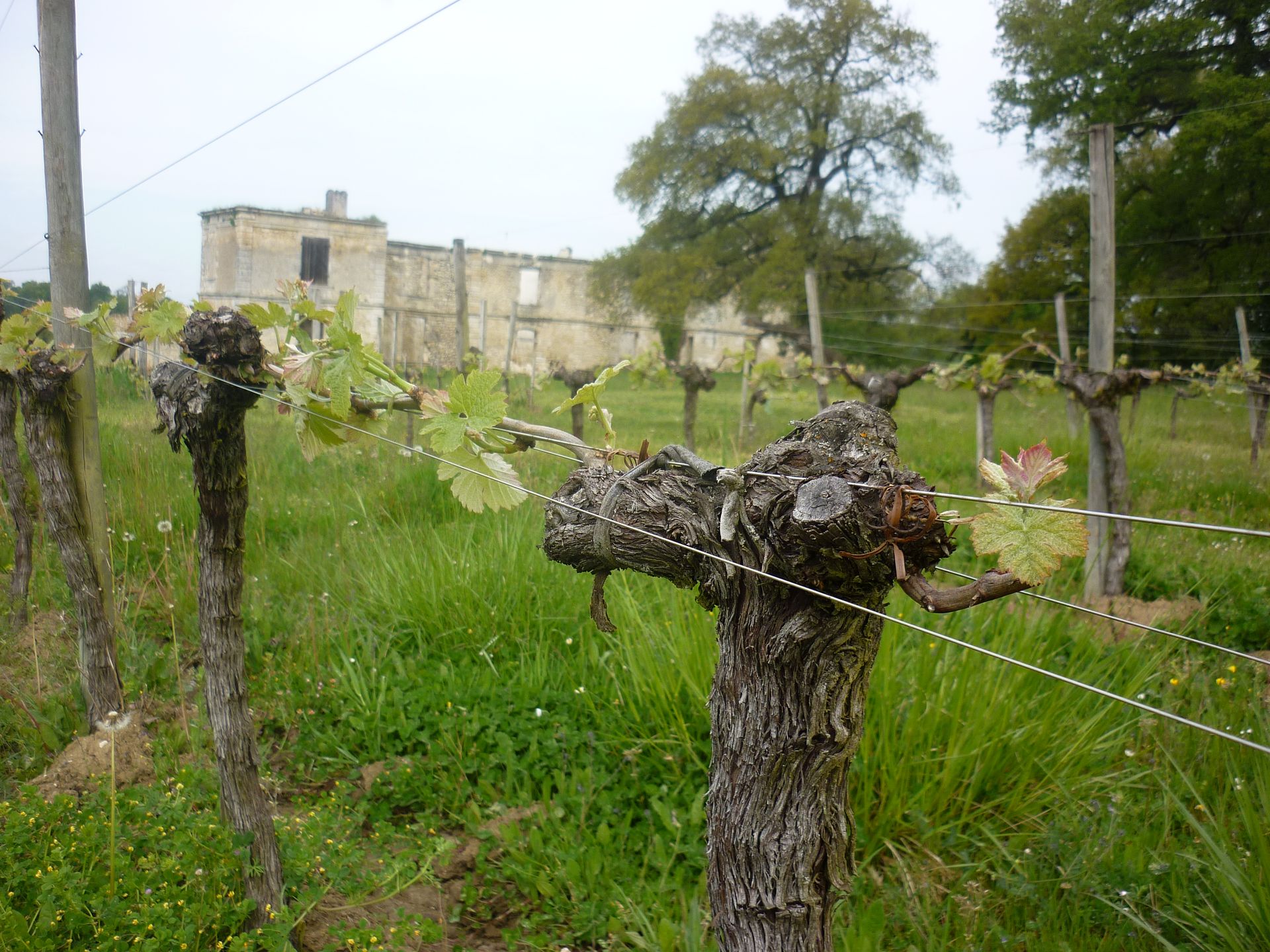 château Boutinet