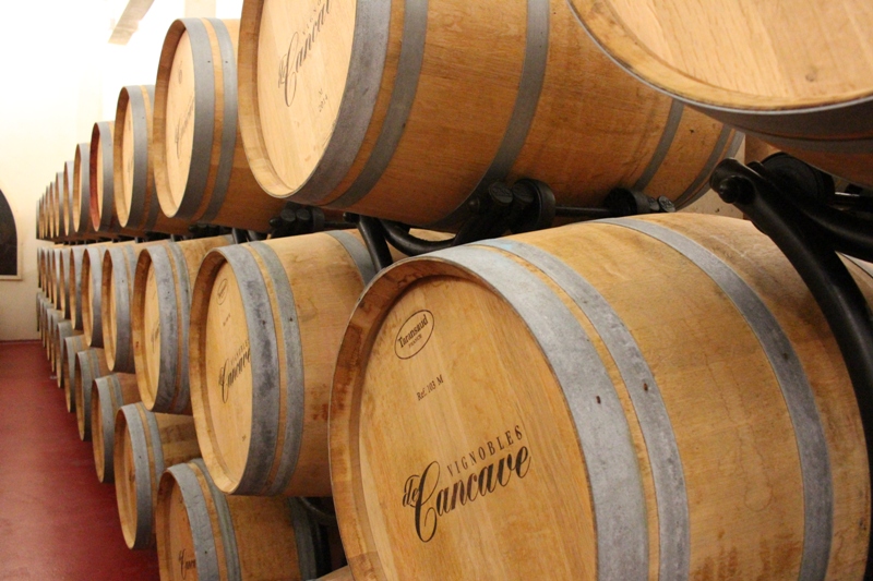 chateau-marquis-de-vauban-vignoble-blaye-cotes-de-bordeaux-800x600-barrique