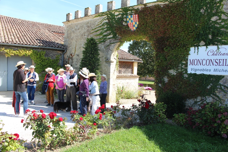chateau-monconseil-gazin-vignoble-blaye-cotes-de-bordeaux--800x600