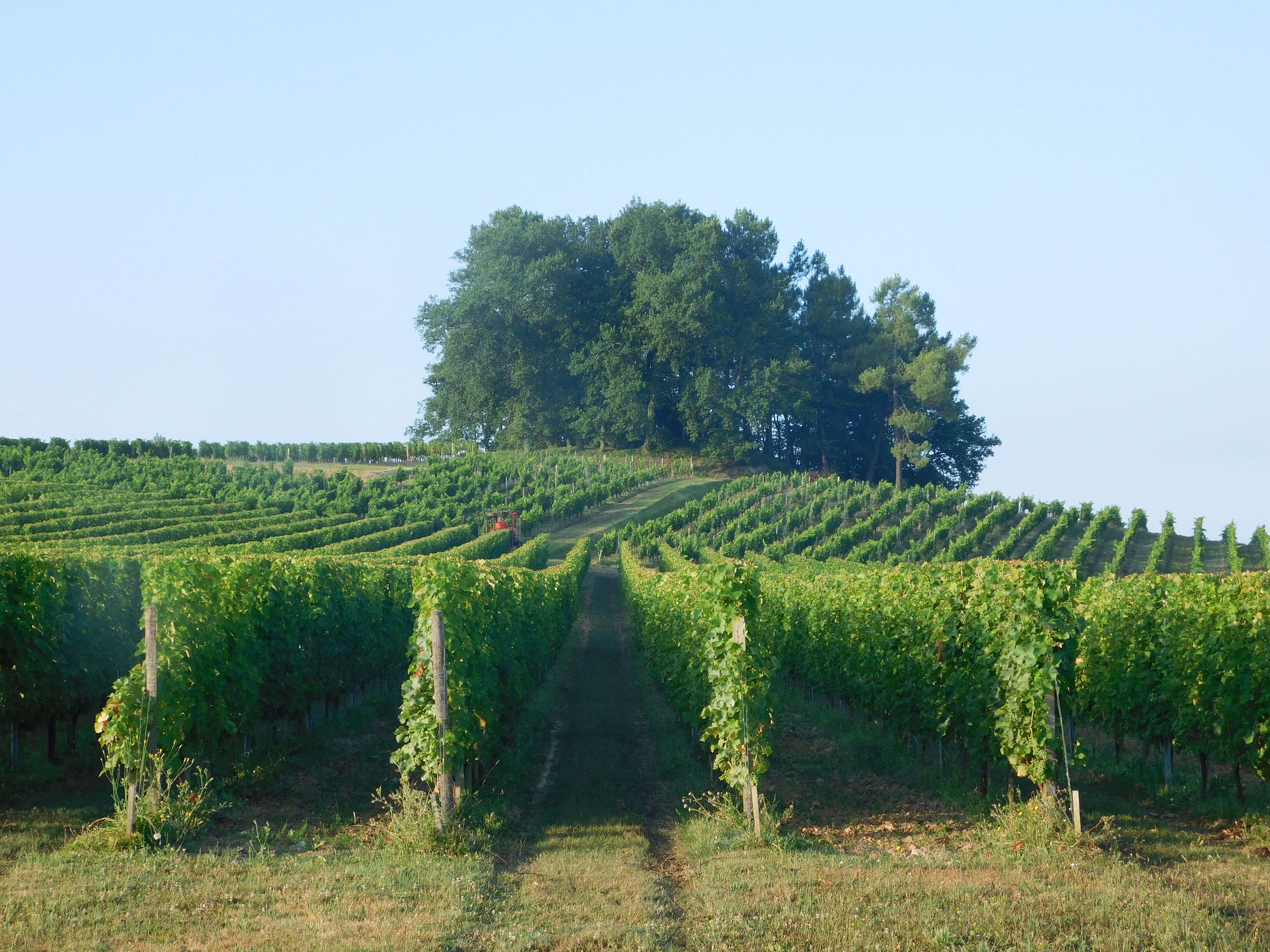 chateau-pinet-la-roquette-berson-800x600