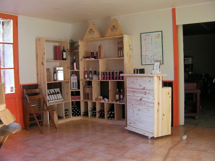 chateau-pinet-la-roquette-Blaye-cotes-Bordeaux-vigne-800x600