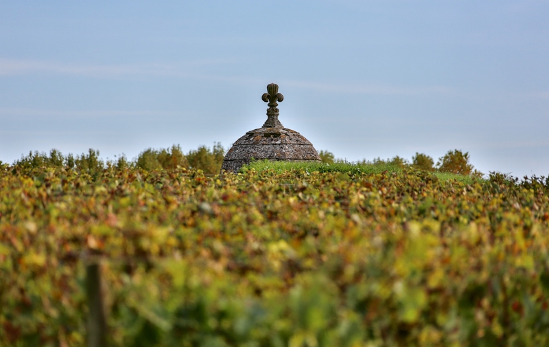 citadelle-Blaye-Unesco-vignoble-echauguette-800x600