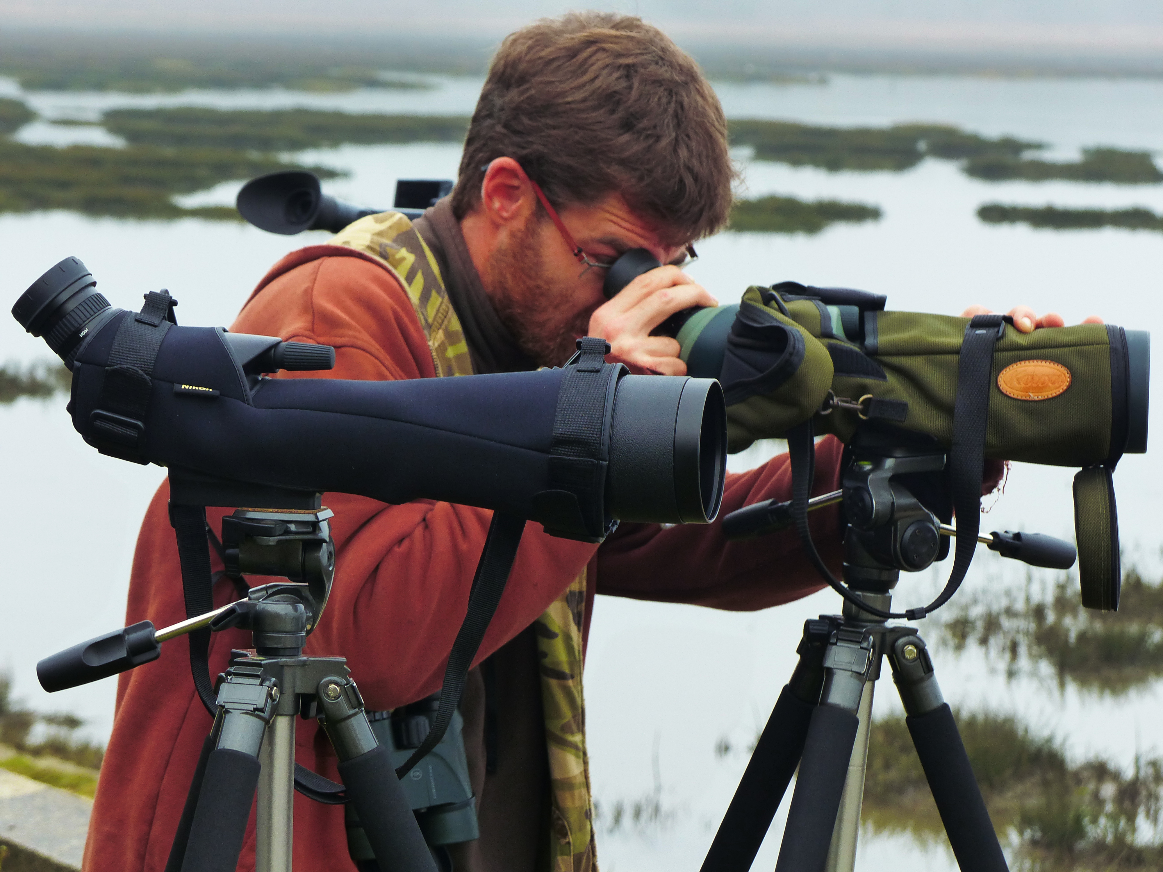 48h Nature : l’odyssée des oiseaux migrateurs
