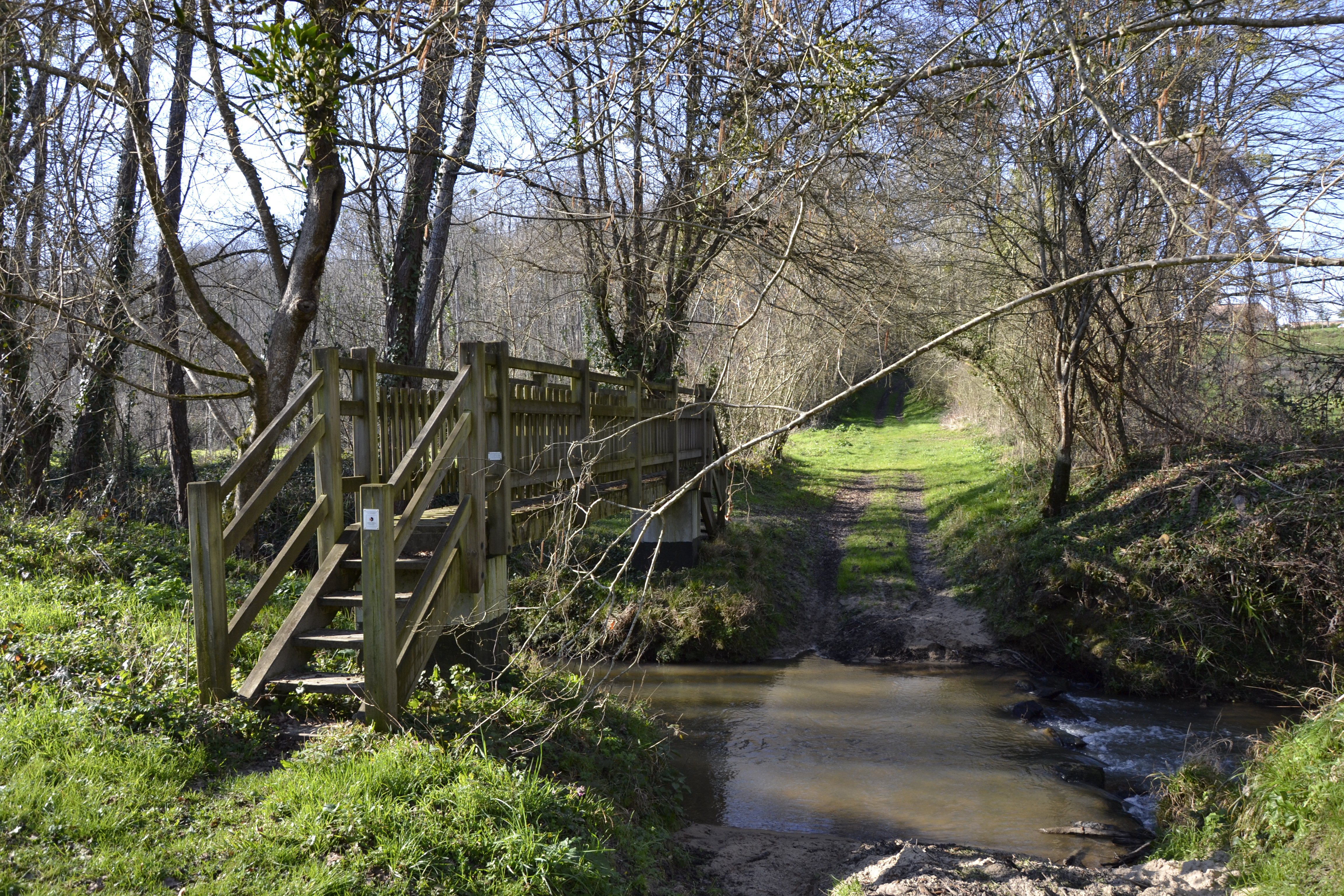 Cours d'eau La Bassanne