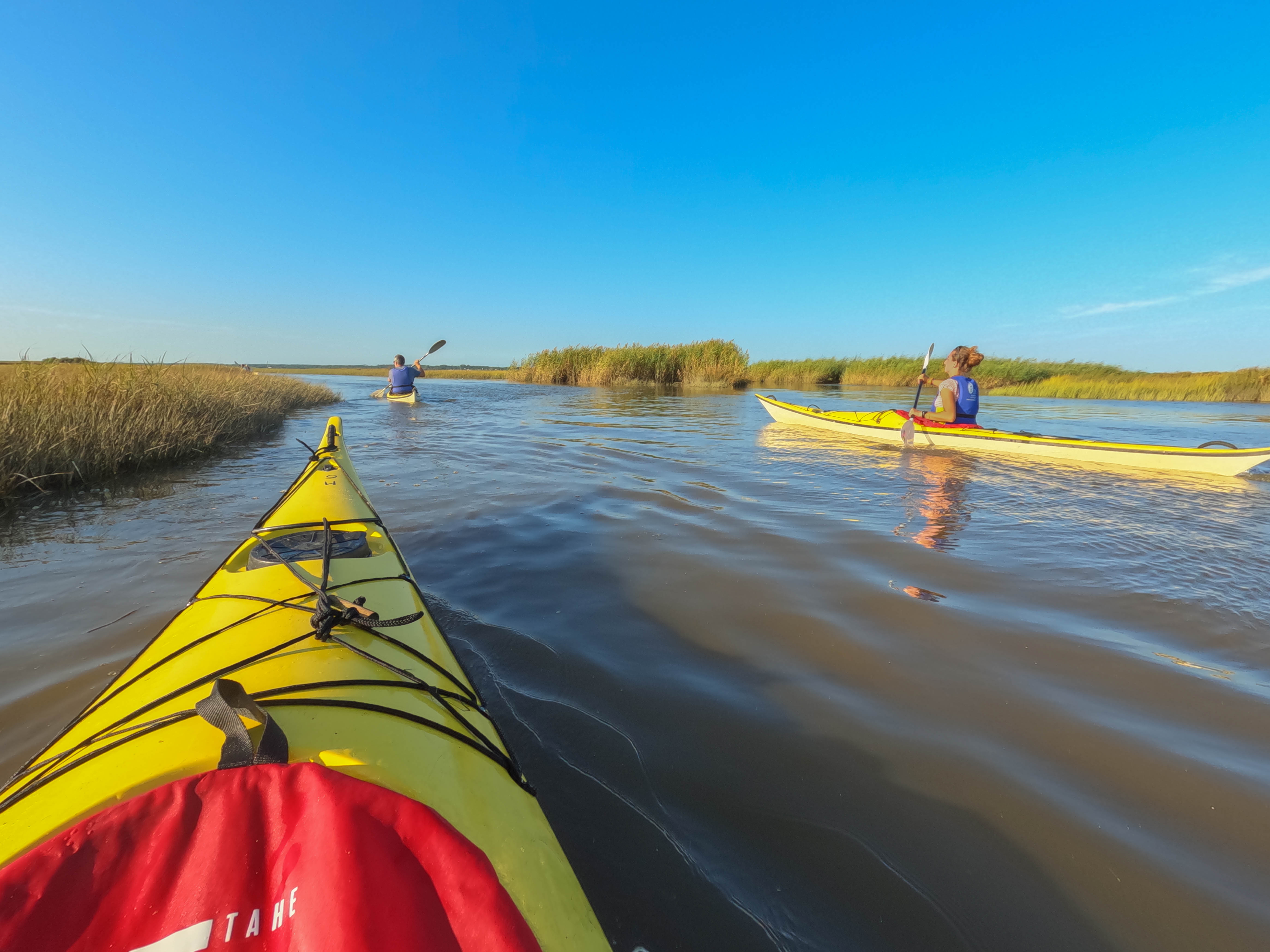 Sortie en kayak de mer – Découverte du delta de l’Eyre et du Bassin d’Arcachon