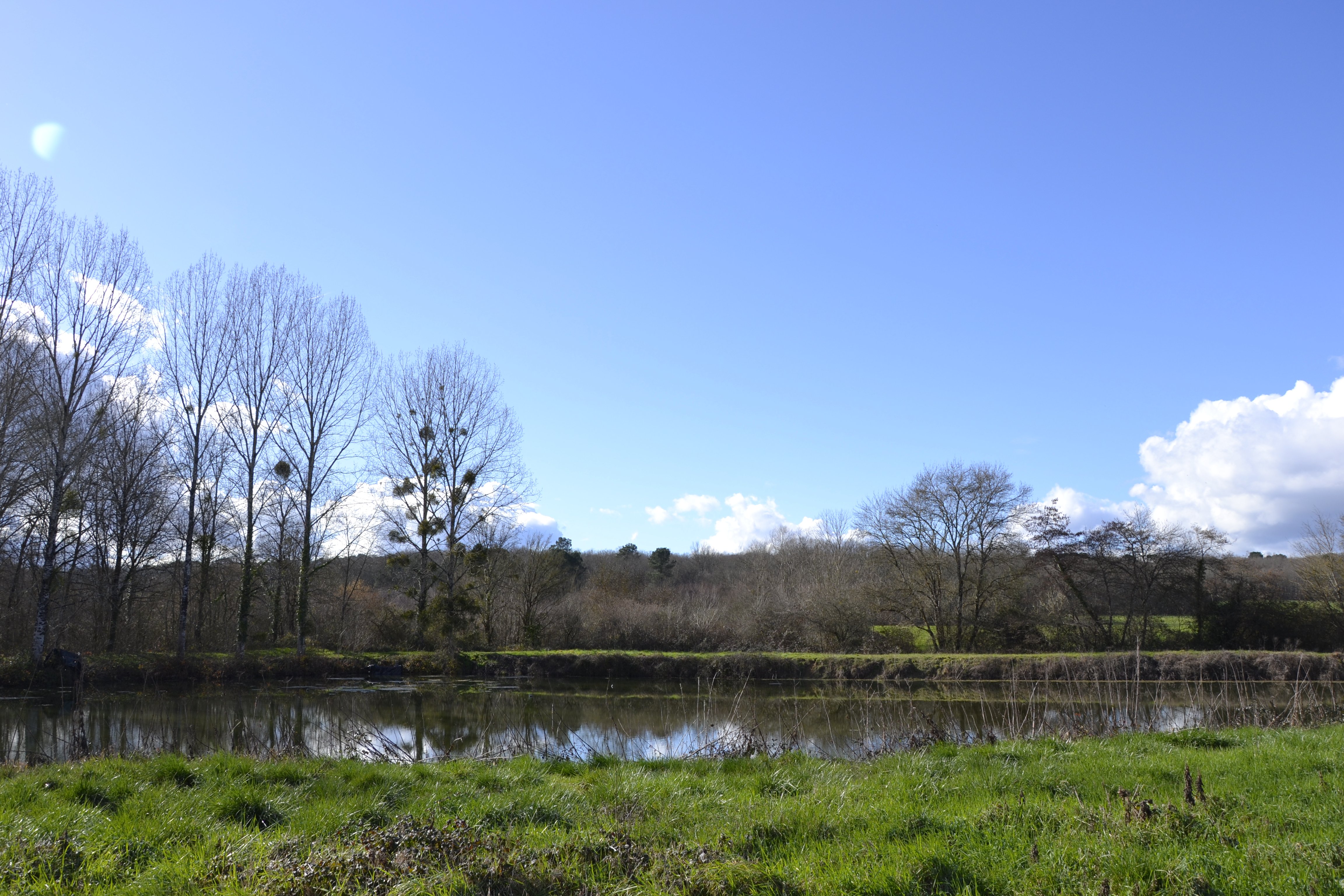 Etang