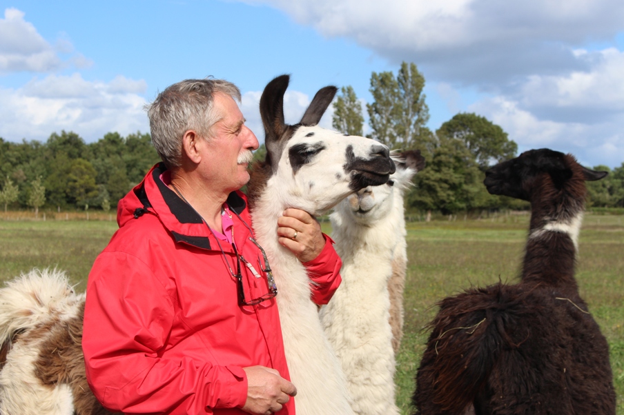Ferme pédagogique des lamas de Brandacot