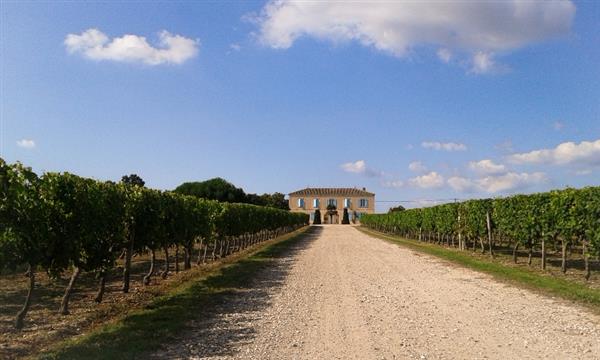 Vinobalades : dîner chez le vigneron au Château Le Camplat