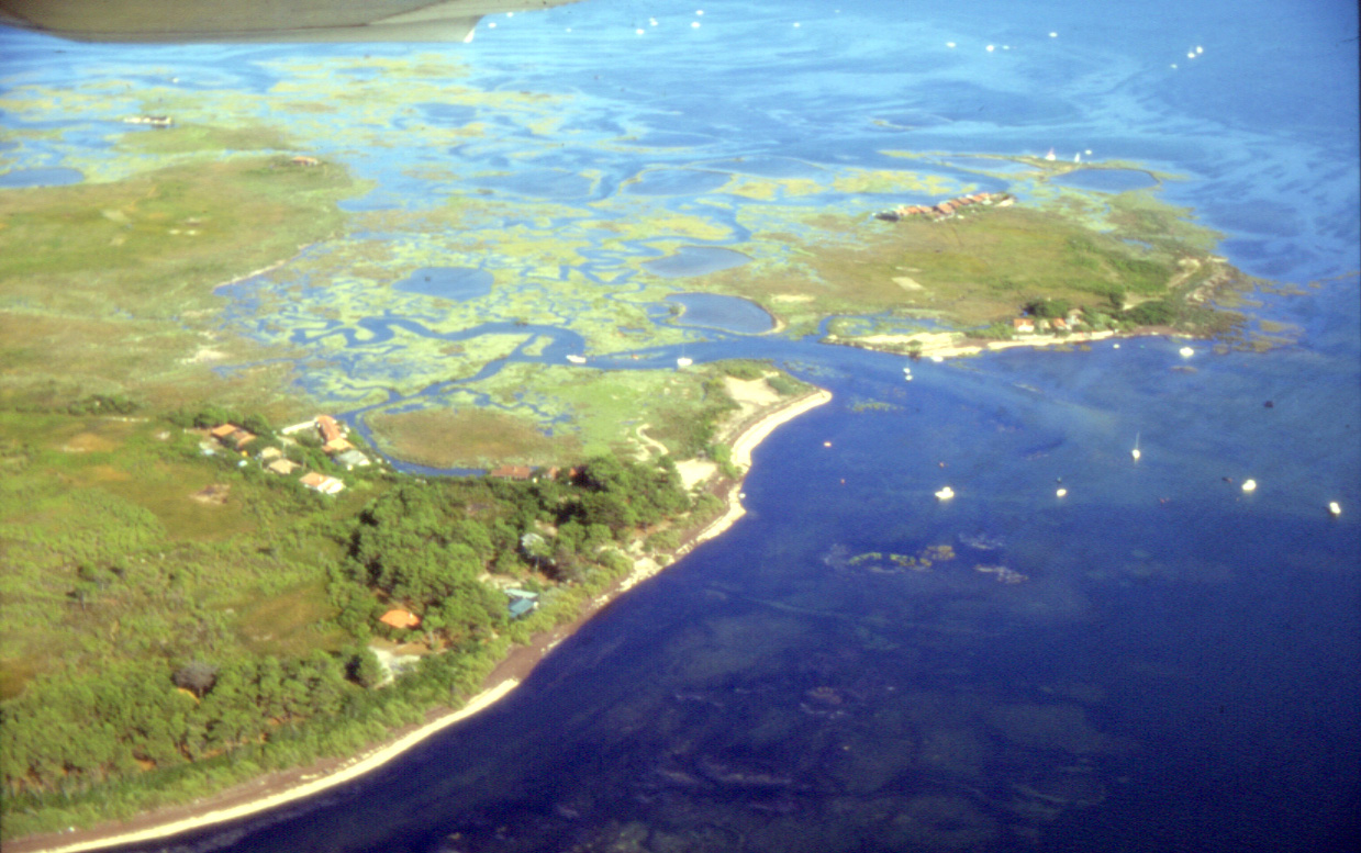 L'Île aux Oiseaux