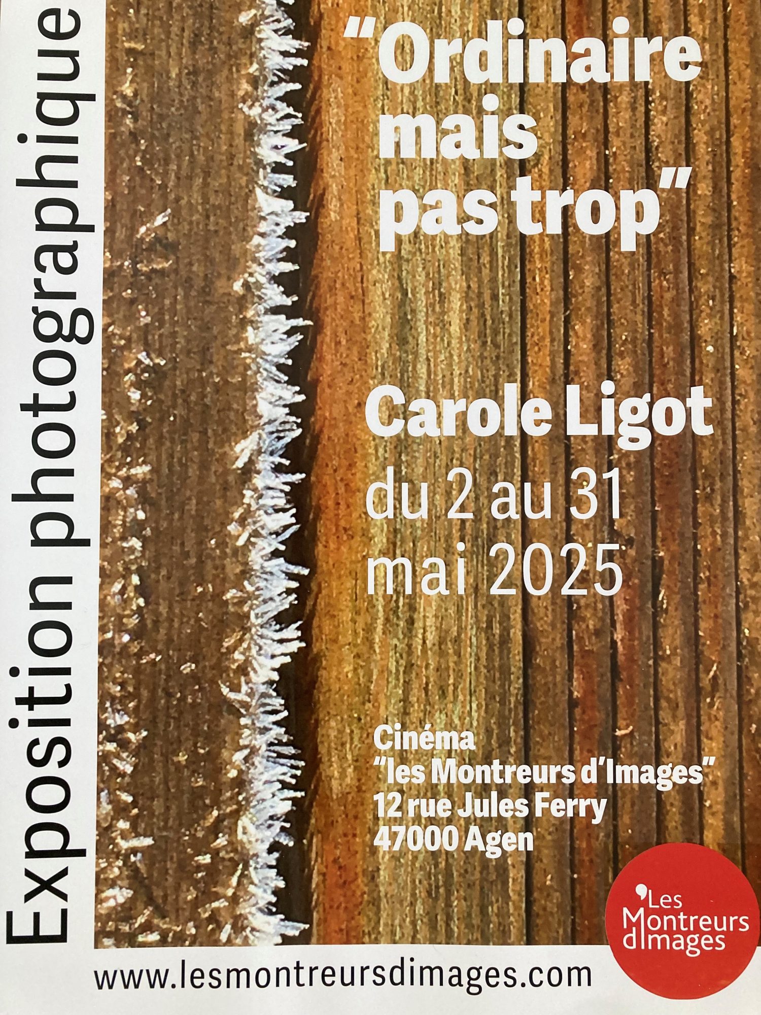 Exposition de photographies : Ordinaire, mais pas trop…