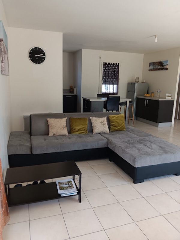 salon canapé avec coussin redi