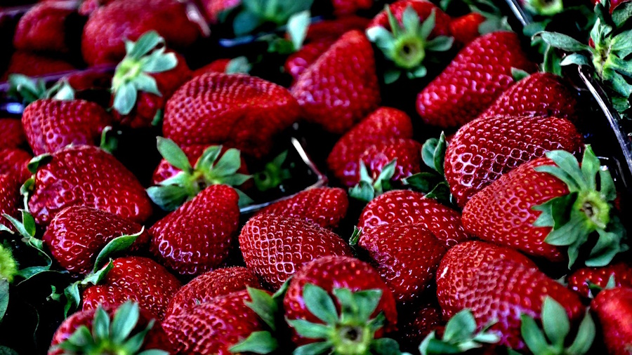 strawberries-ge1d83451e_1280