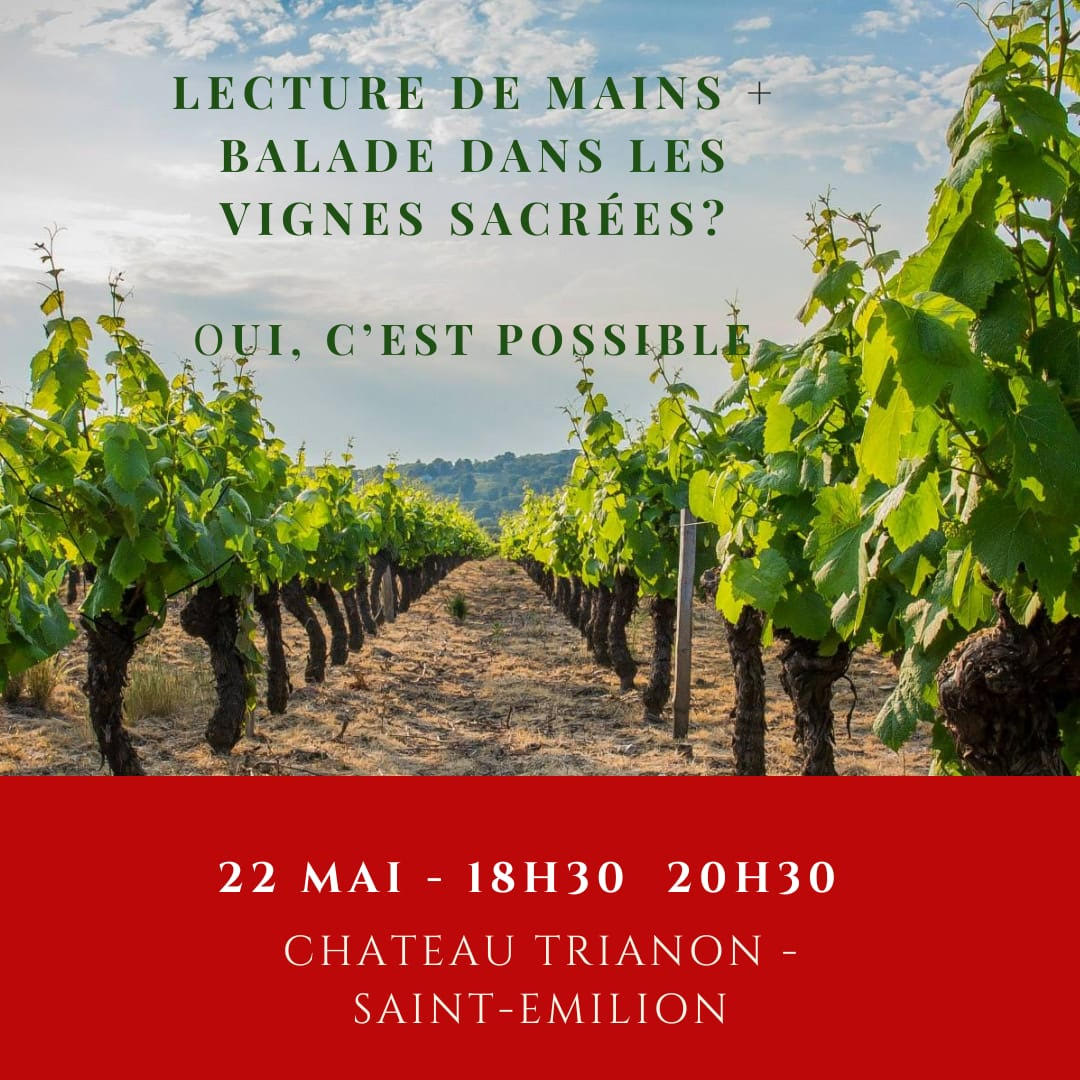 Afterwork Lecture de Mains et Verres de Vin
