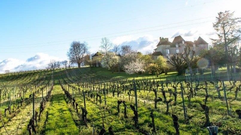 vignes Château Chelivette