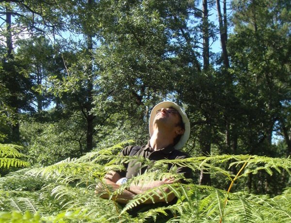 Visite guidée autour de la découverte des plantes sauvages et des champignons comestibles de nos forêts